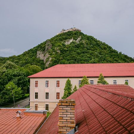 Pensiunea Vila Europa Deva Esterno foto