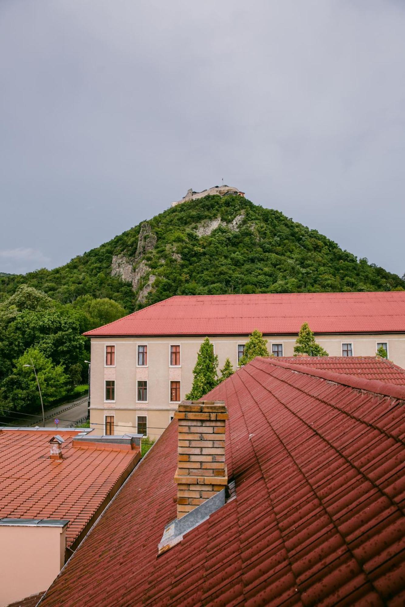 Pensiunea Vila Europa Deva Esterno foto