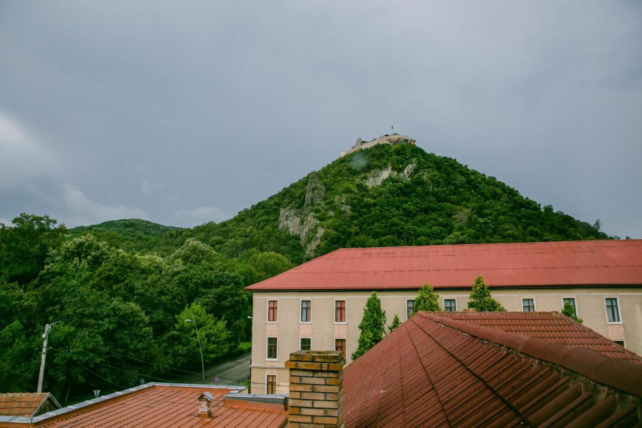 Pensiunea Vila Europa Deva Esterno foto