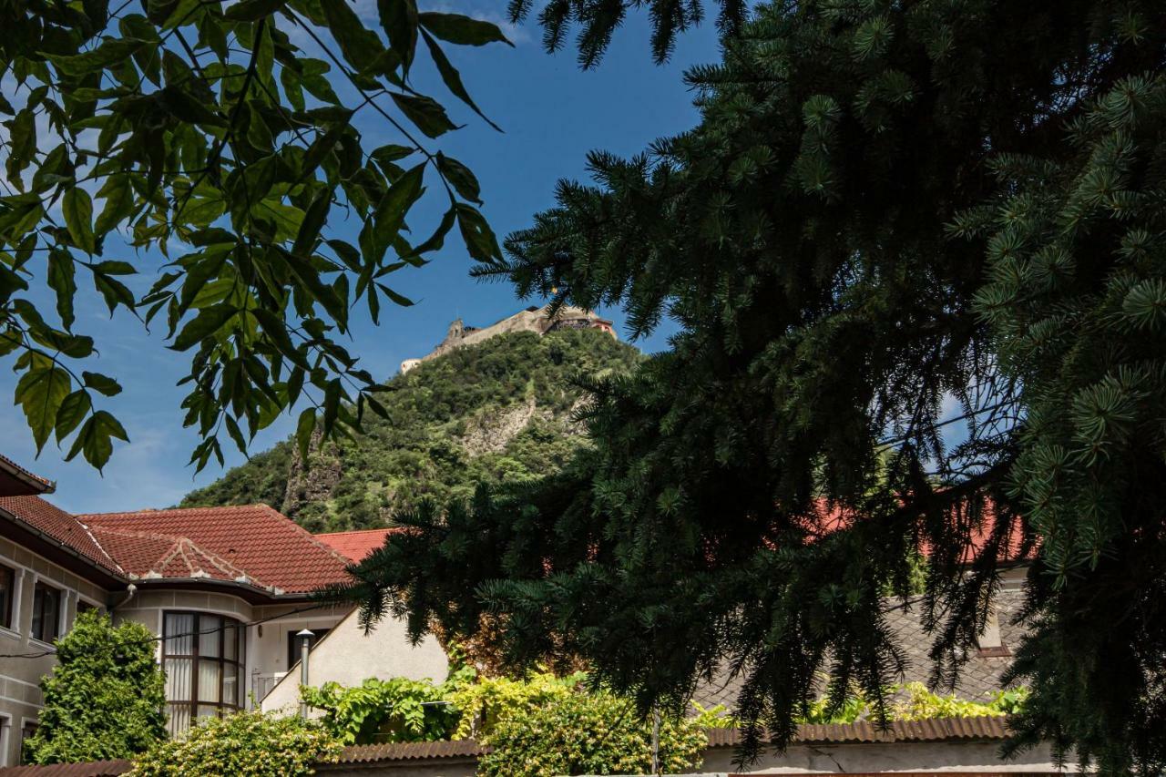 Pensiunea Vila Europa Deva Esterno foto